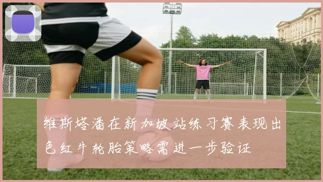 维斯塔潘在新加坡站练习赛表现出色红牛轮胎策略需进一步验证