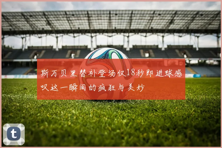斯万贝里替补登场仅18秒即进球感叹这一瞬间的疯狂与美妙